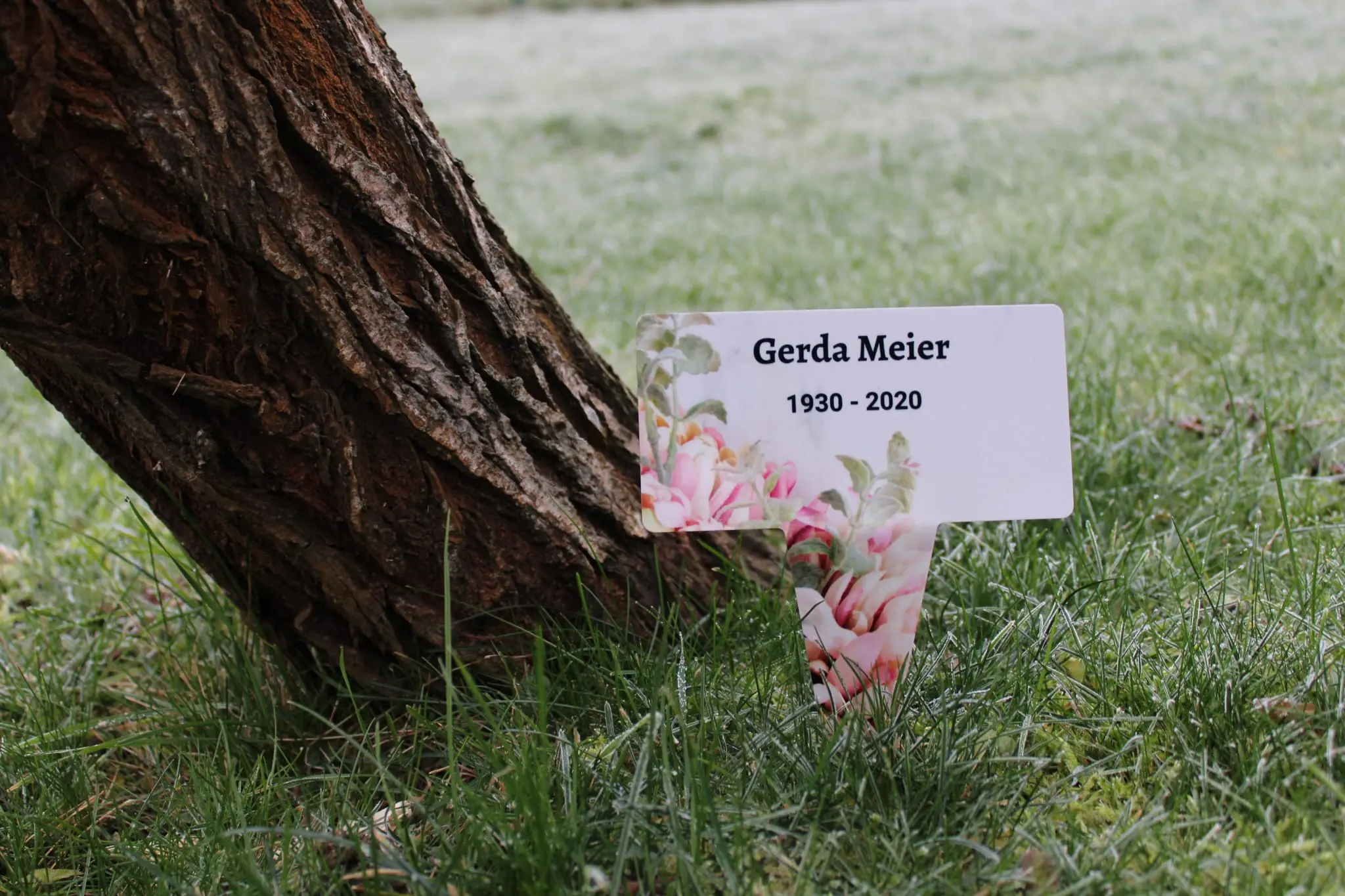 Sonstige Formen Bilder von Anna Ebert