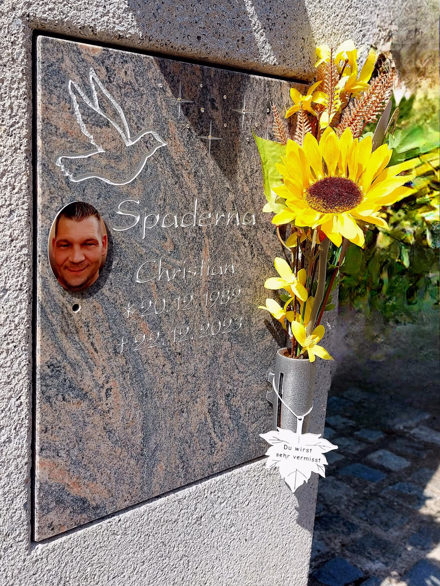Ovale Bilder von Anna Ebert