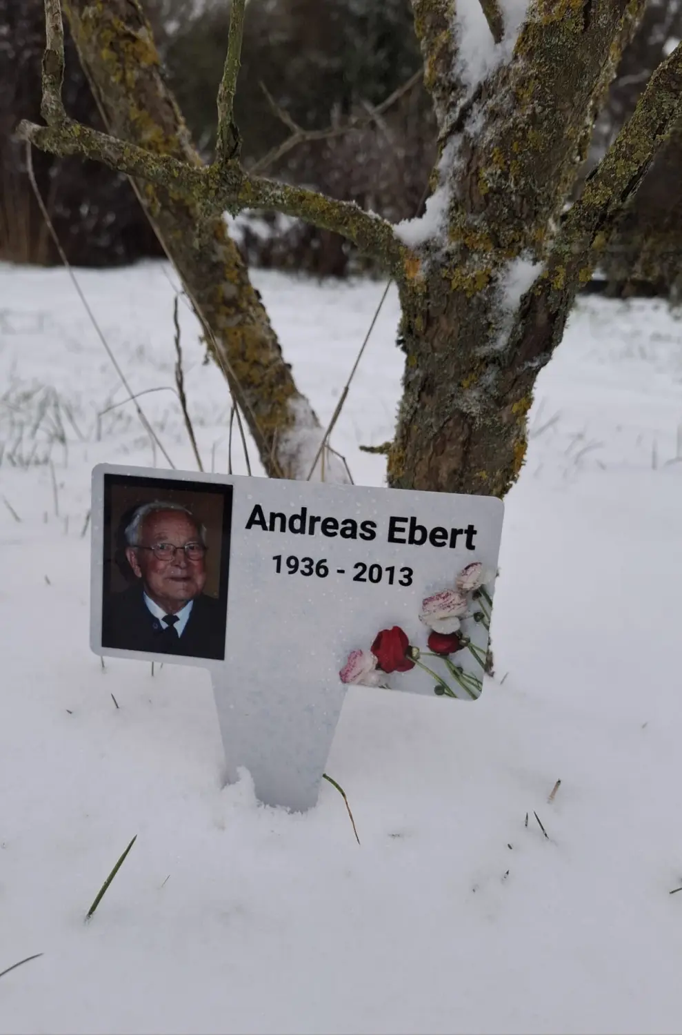 Sonstige Formen Bilder von Anna Ebert