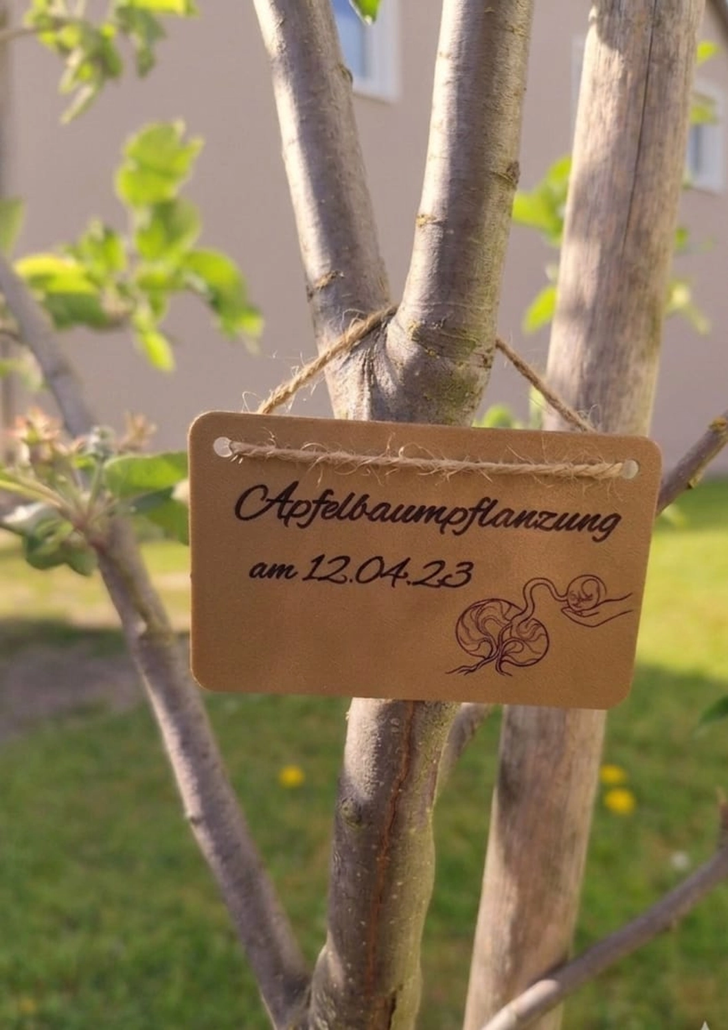 Rechtecke-Bilder von Anna Ebert